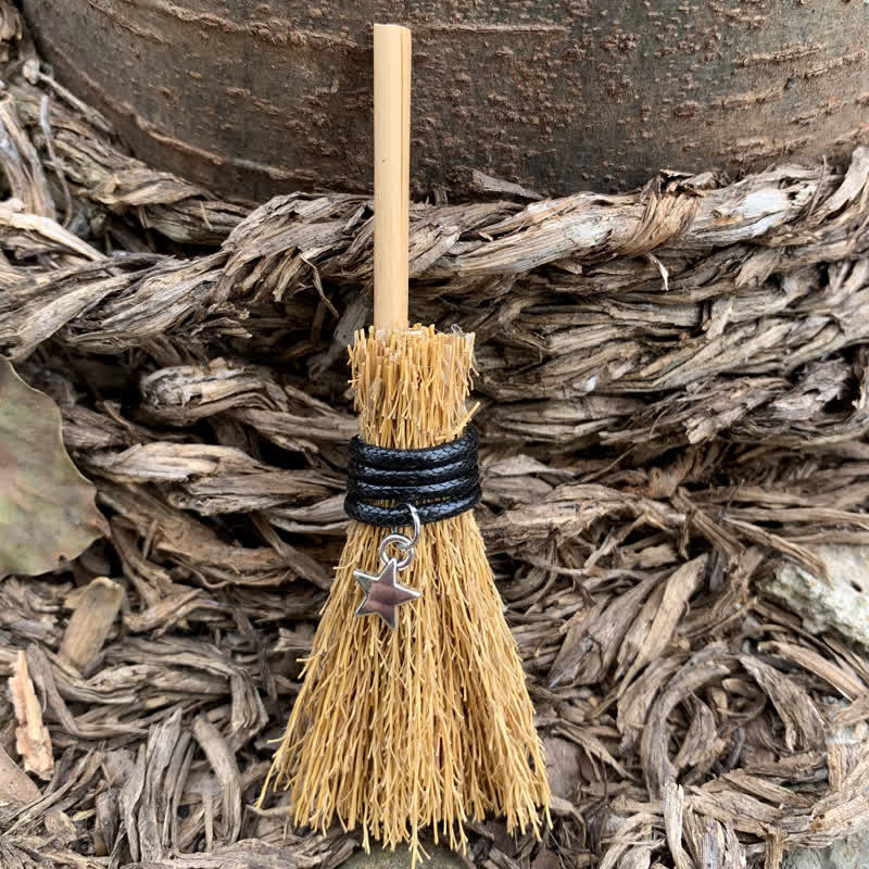 Olivenorma Handmade Mini Crystal Turtle Broom Ornament - Straw & Star - image 12