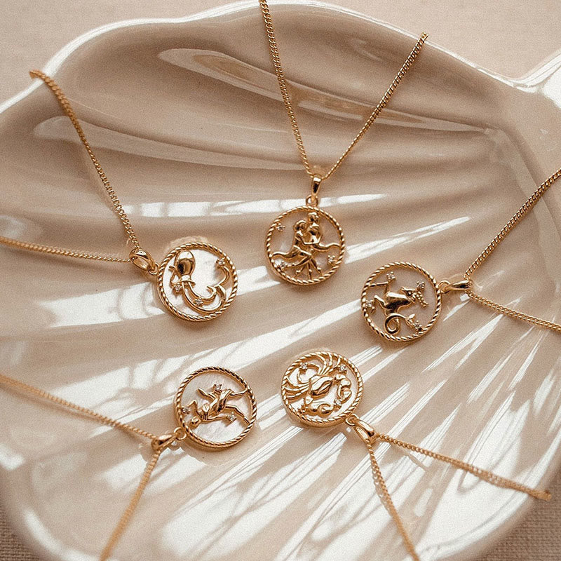 Olivenorma 12 Constellations Titanium Steel Shell Coin Necklace - image 16