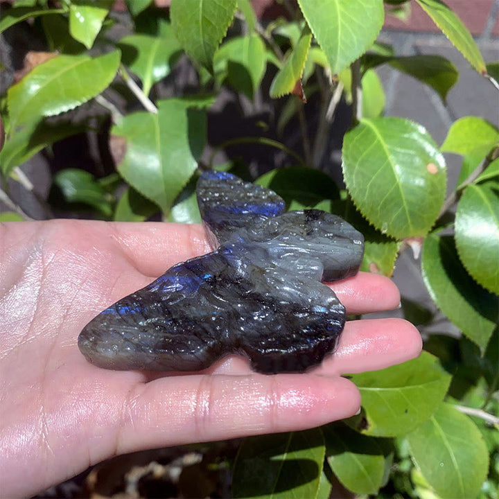Olivenorma Natural Labradorite Butterfly Skull Gemstone Decoration - image 3