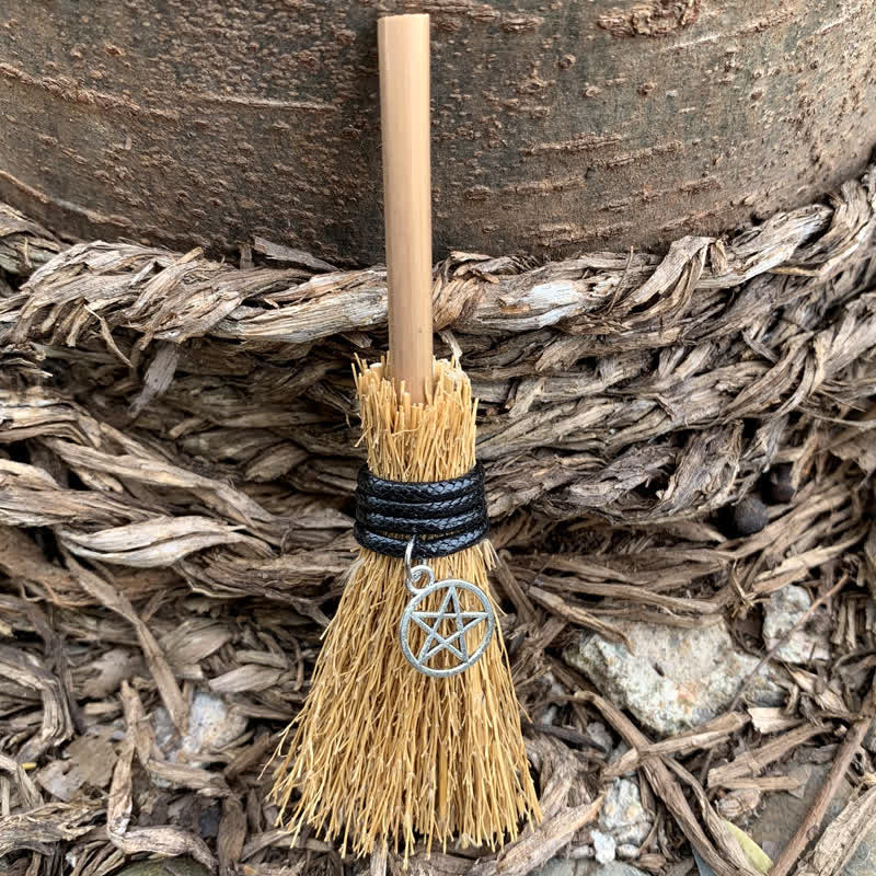 Olivenorma Handmade Mini Crystal Turtle Broom Ornament - Straw & Pentagram - image 16