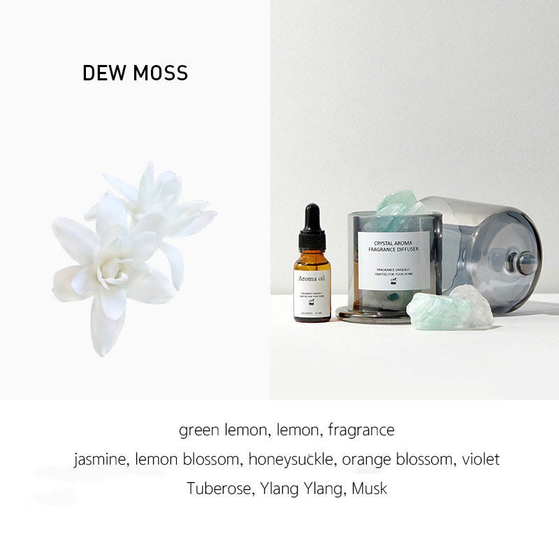 Olivenorma Scented Oil Diffuser Gift Set Crystal Aromatherapy - Amazonite&DEW MOSS - image 1