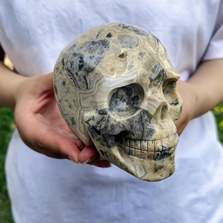 Olivenorma 10cm Natural Crazy Agate Gemstone Decoration Crystal Skull - Crazy Agate - image 0