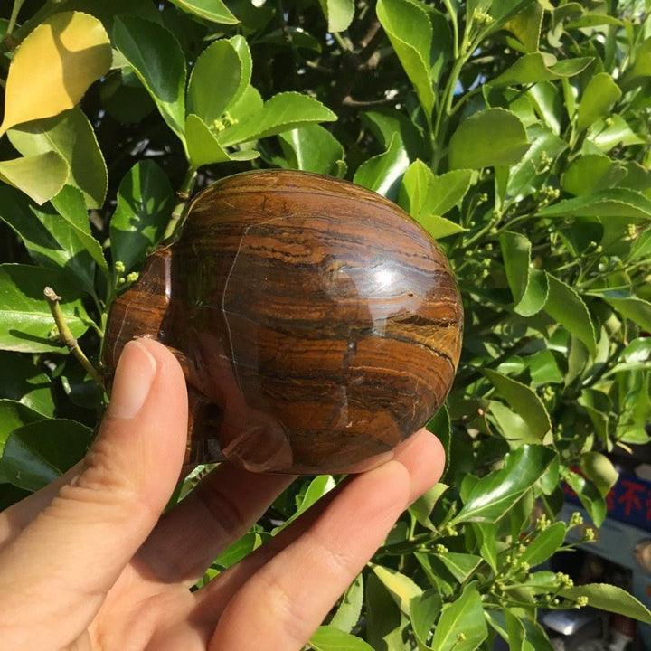 Olivenorma Tiger Eye Stone Crystal Skull Decoration - image 1