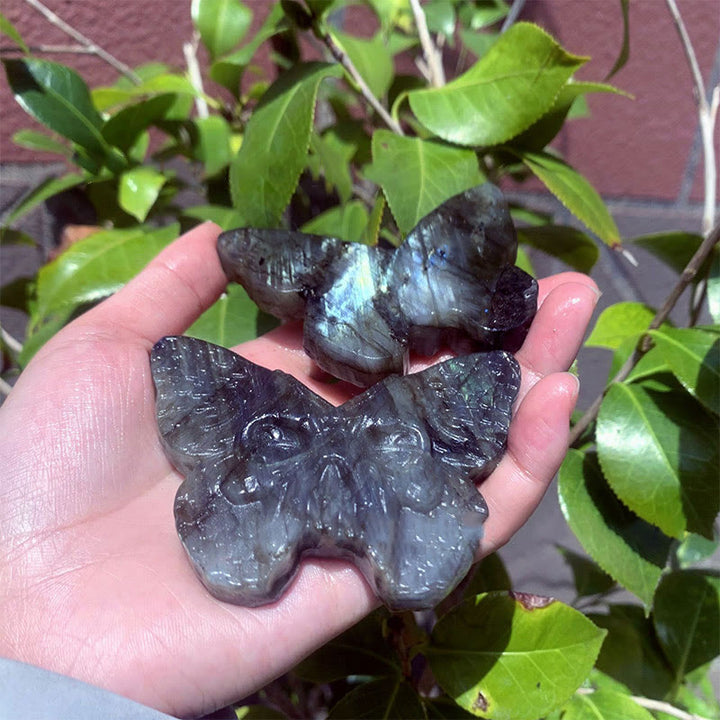 Olivenorma Natural Labradorite Butterfly Skull Gemstone Decoration - image 2