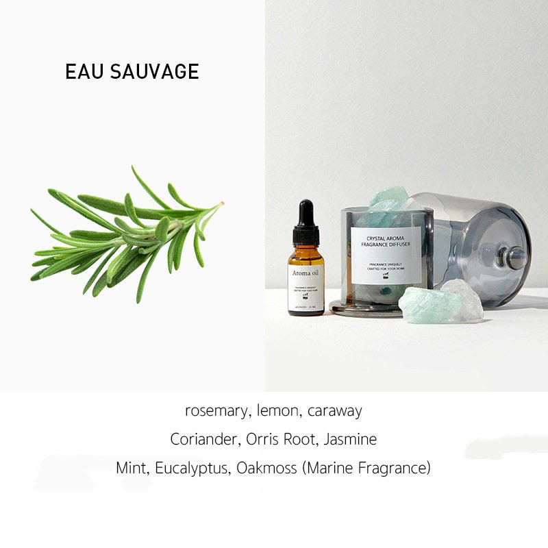 Olivenorma Scented Oil Diffuser Gift Set Crystal Aromatherapy - Amazonite&EAU SAUVAGE - image 2