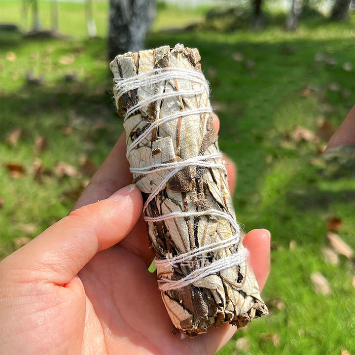 Olivenorma Nacre Crystal Cleansing Meditation White Sage - North American Sage - image 4