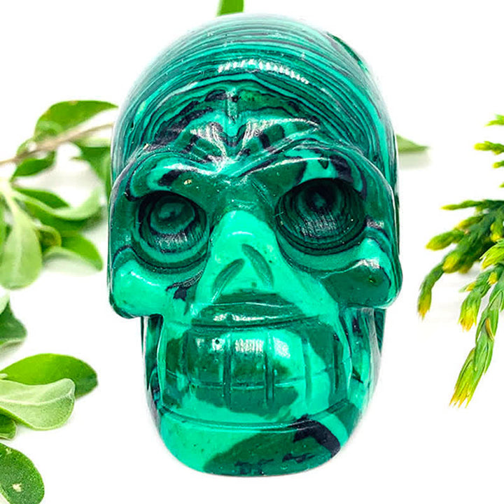 Olivenorma Natural Crystal Skull Halloween Decoration - image 44