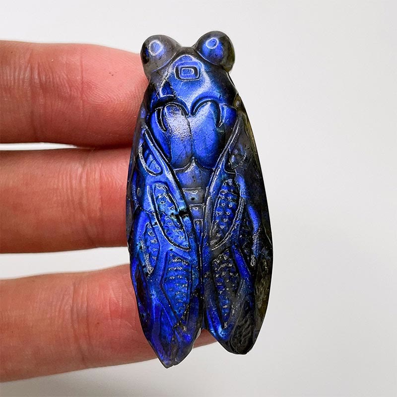 Olivenorma Natural Labradorite Moon Face Ornaments Gemstone Decoration - Cicada #Labradorite - image 18