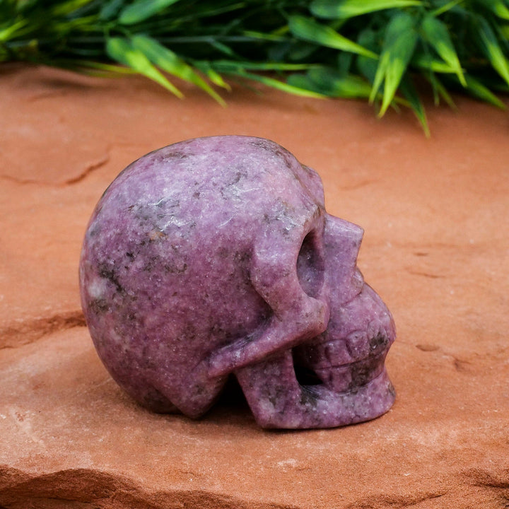 Olivenorma Lepidolite Crystal Skull Decoration - image 3