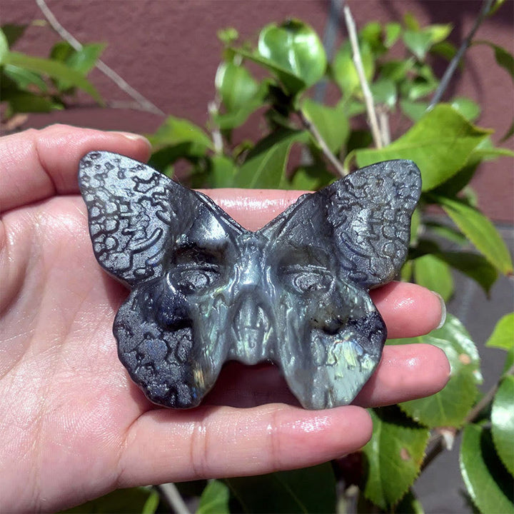 Olivenorma Natural Labradorite Butterfly Skull Gemstone Decoration - Labradorite - image 0