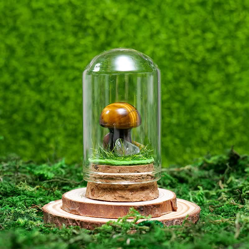 Olivenorma Glass Cover Natural Crystal Mushroom Decoration - Tiger Eye - image 16