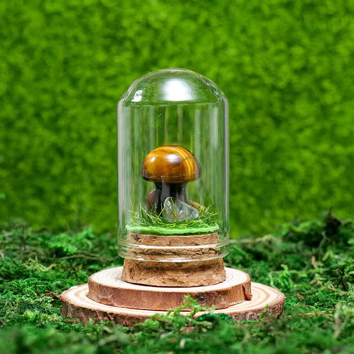 Olivenorma Glass Cover Natural Crystal Mushroom Decoration - Tiger Eye - image 16