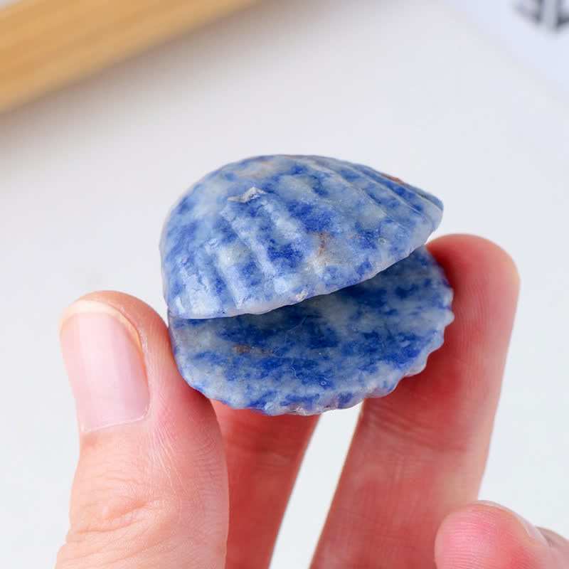 Olivenorma Natural Crystal Agate Carved Shells Gemstone Decoration - Sodalite - image 3