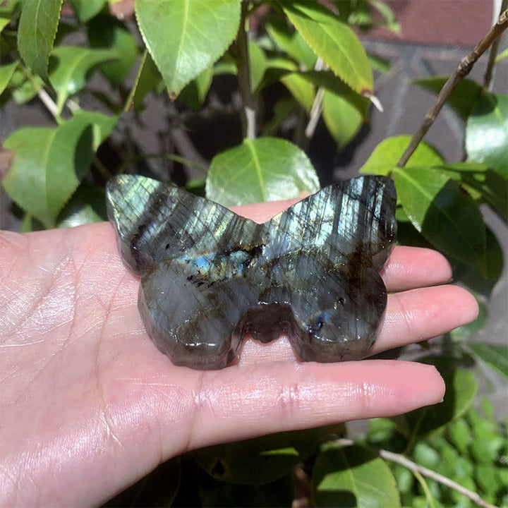 Olivenorma Natural Labradorite Butterfly Skull Gemstone Decoration - image 4