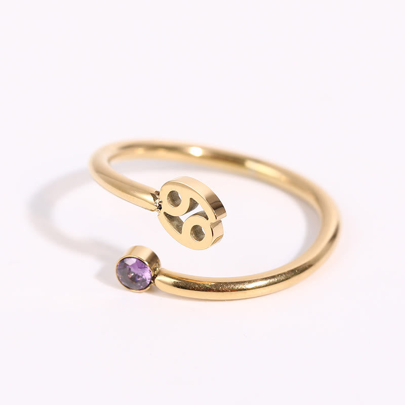 Olivenorma Zodiac Birthstone Gift Card Ring - image 14