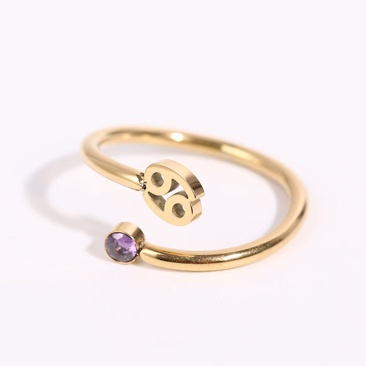 Olivenorma Zodiac Birthstone Gift Card Ring - image 14