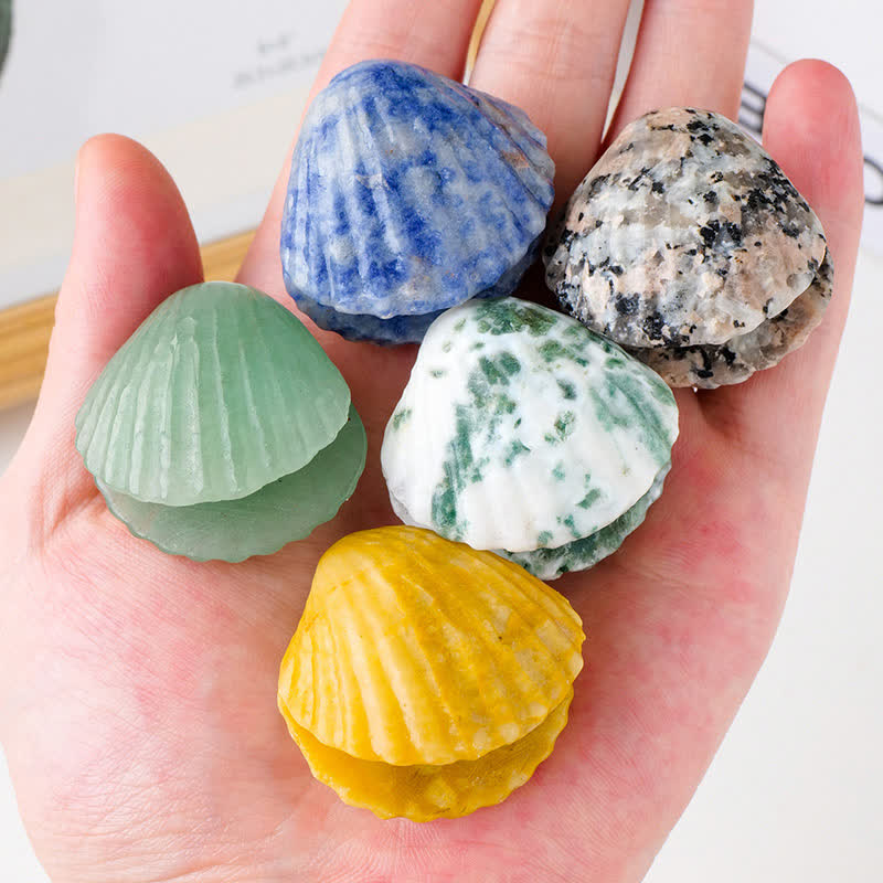 Olivenorma Natural Crystal Agate Carved Shells Gemstone Decoration - image 15