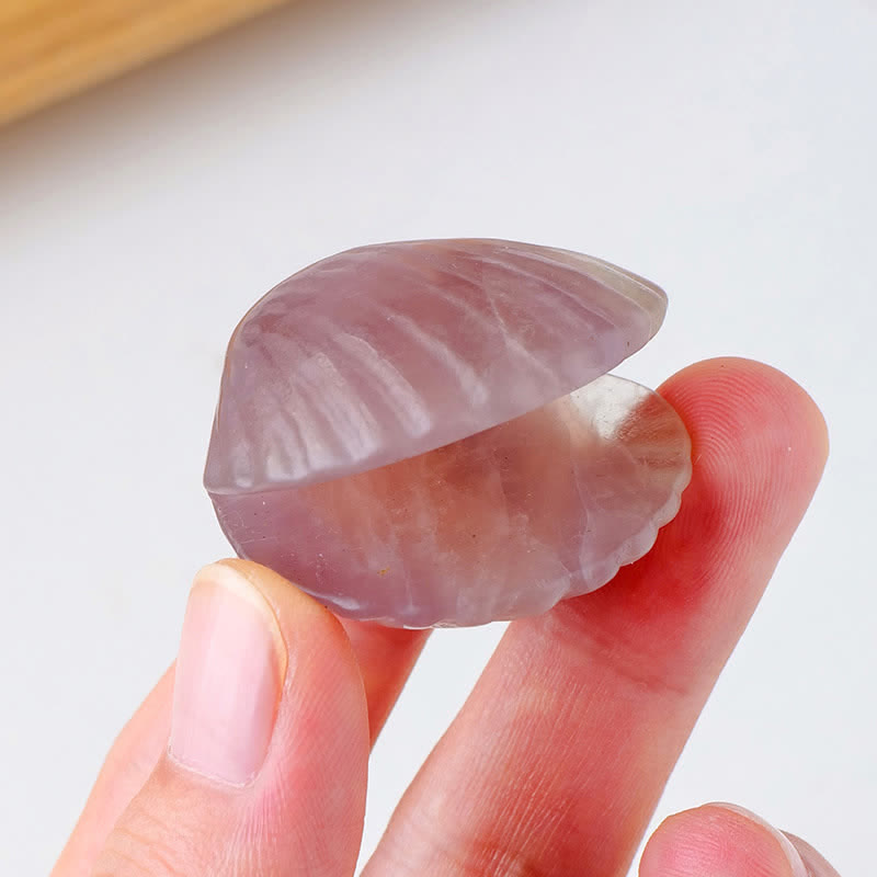 Olivenorma Natural Crystal Agate Carved Shells Gemstone Decoration - Fluorite - image 7