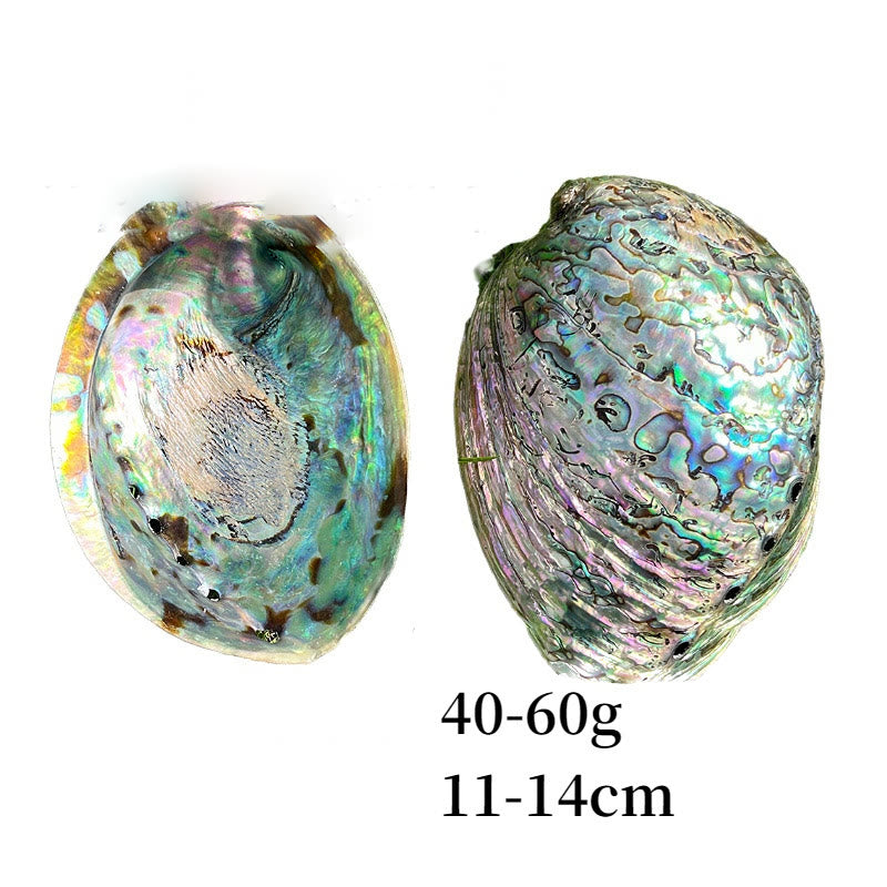 Olivenorma Nacre Crystal Cleansing Meditation White Sage - Polished Nacre Shell - image 6