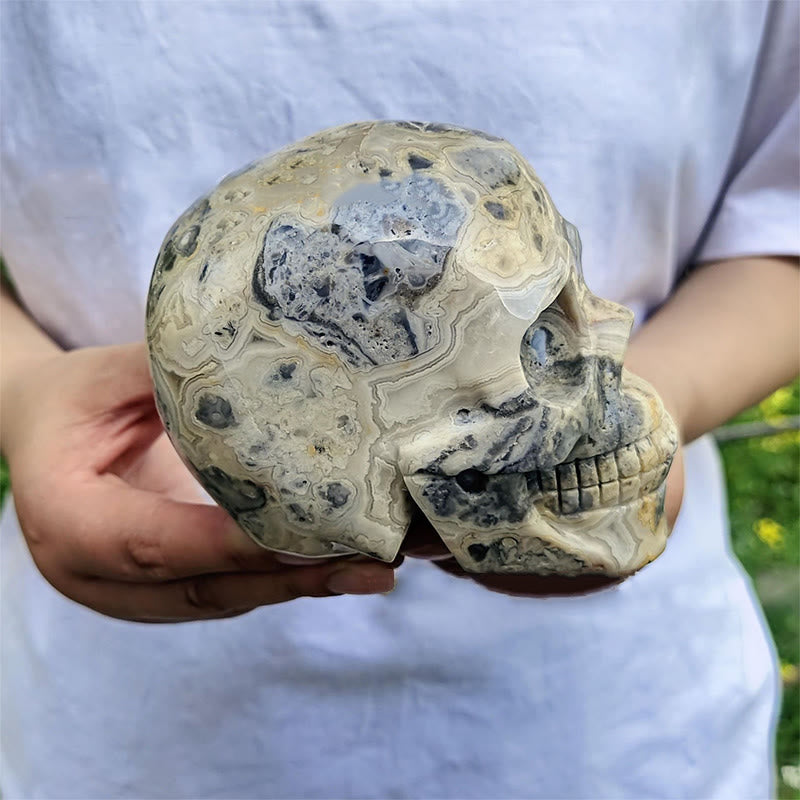 Olivenorma 10cm Natural Crazy Agate Gemstone Decoration Crystal Skull - image 3